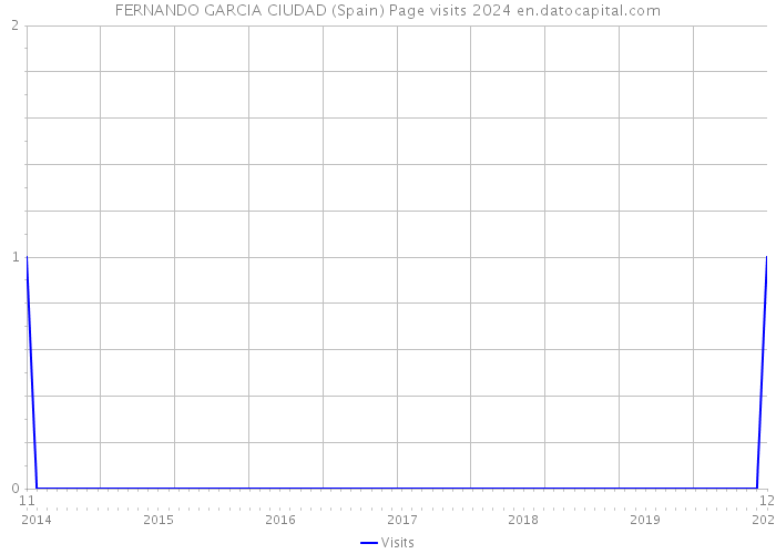 FERNANDO GARCIA CIUDAD (Spain) Page visits 2024 