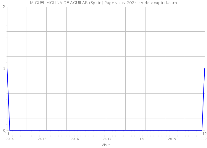 MIGUEL MOLINA DE AGUILAR (Spain) Page visits 2024 