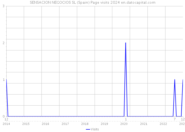 SENSACION NEGOCIOS SL (Spain) Page visits 2024 