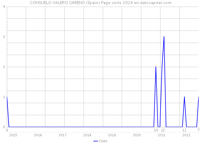 CONSUELO VALERO GIMENO (Spain) Page visits 2024 