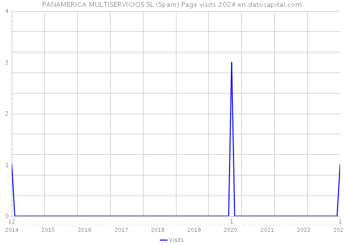 PANAMERICA MULTISERVICIOS SL (Spain) Page visits 2024 