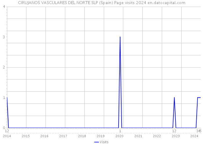 CIRUJANOS VASCULARES DEL NORTE SLP (Spain) Page visits 2024 