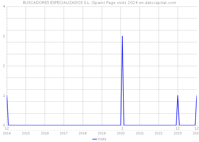 BUSCADORES ESPECIALIZADOS S.L. (Spain) Page visits 2024 
