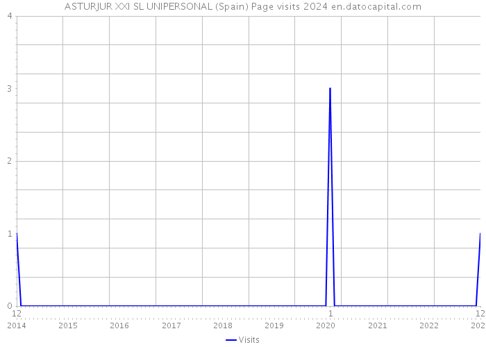 ASTURJUR XXI SL UNIPERSONAL (Spain) Page visits 2024 