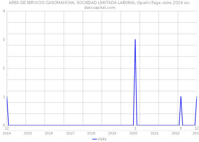 AREA DE SERVICIO GASOMANCHA, SOCIEDAD LIMITADA LABORAL (Spain) Page visits 2024 