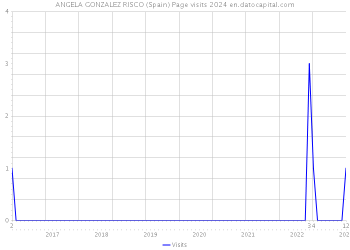 ANGELA GONZALEZ RISCO (Spain) Page visits 2024 