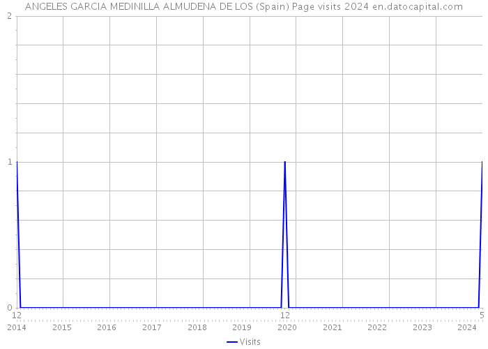 ANGELES GARCIA MEDINILLA ALMUDENA DE LOS (Spain) Page visits 2024 