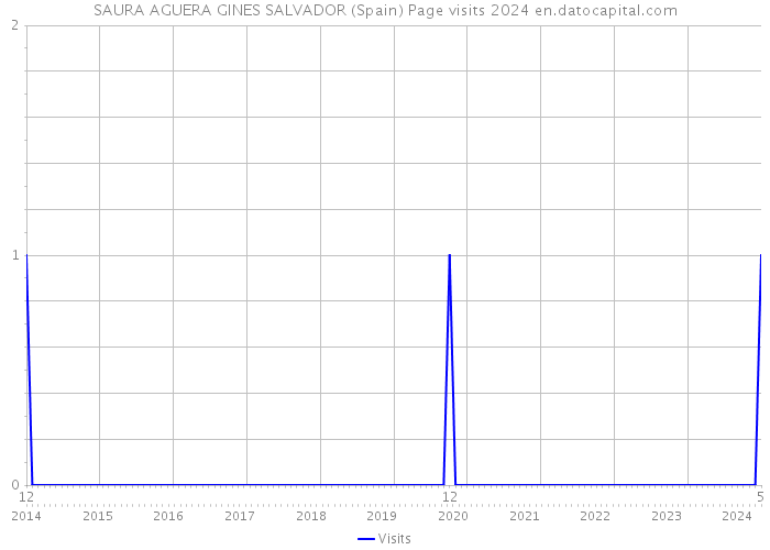 SAURA AGUERA GINES SALVADOR (Spain) Page visits 2024 