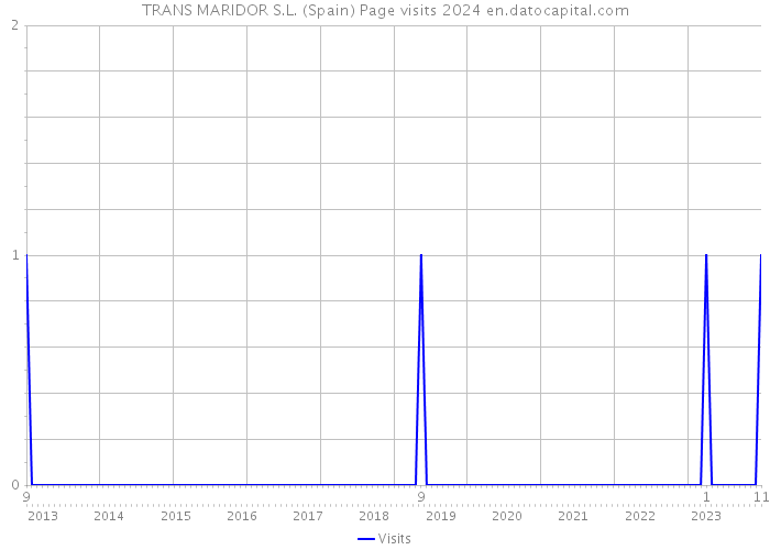 TRANS MARIDOR S.L. (Spain) Page visits 2024 