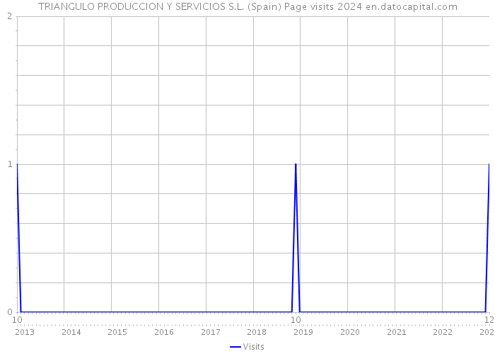 TRIANGULO PRODUCCION Y SERVICIOS S.L. (Spain) Page visits 2024 
