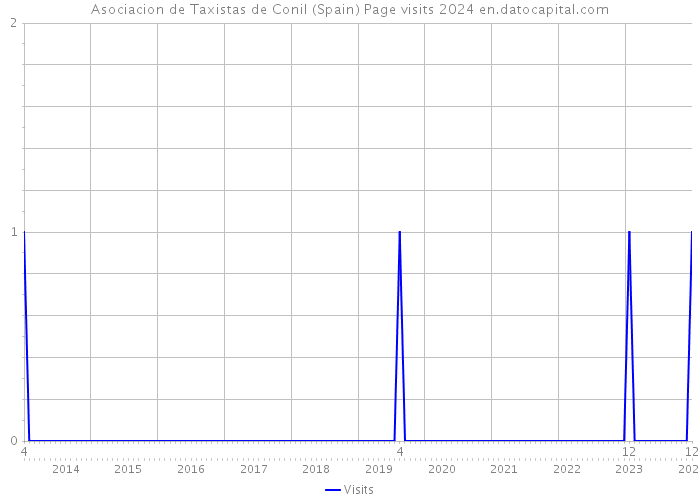 Asociacion de Taxistas de Conil (Spain) Page visits 2024 