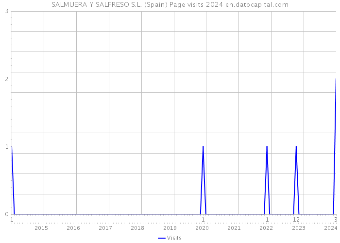 SALMUERA Y SALFRESO S.L. (Spain) Page visits 2024 