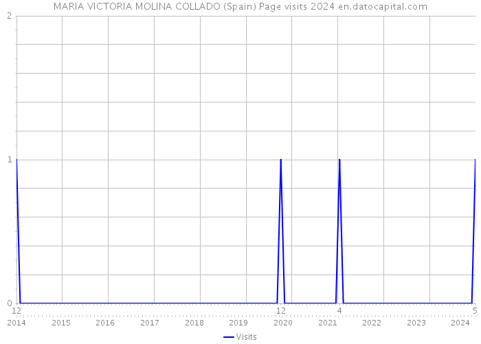 MARIA VICTORIA MOLINA COLLADO (Spain) Page visits 2024 