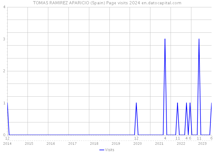 TOMAS RAMIREZ APARICIO (Spain) Page visits 2024 