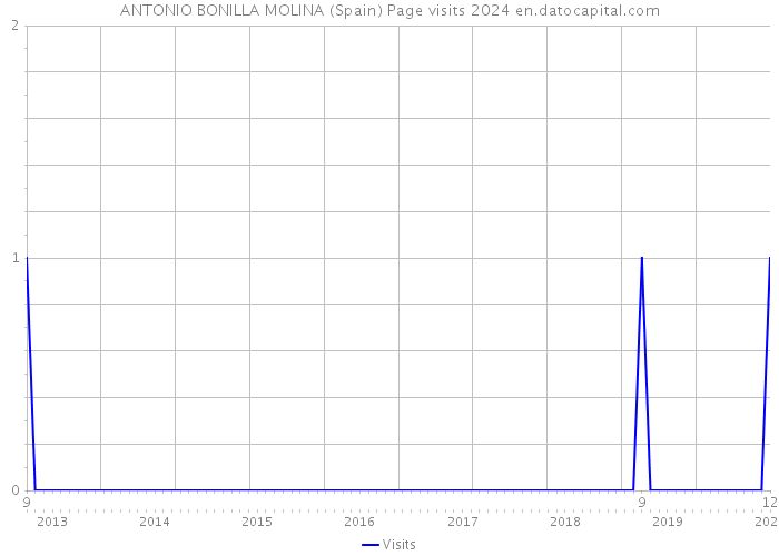 ANTONIO BONILLA MOLINA (Spain) Page visits 2024 