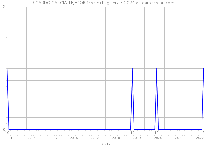 RICARDO GARCIA TEJEDOR (Spain) Page visits 2024 