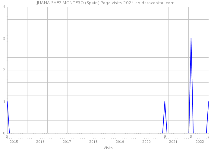 JUANA SAEZ MONTERO (Spain) Page visits 2024 