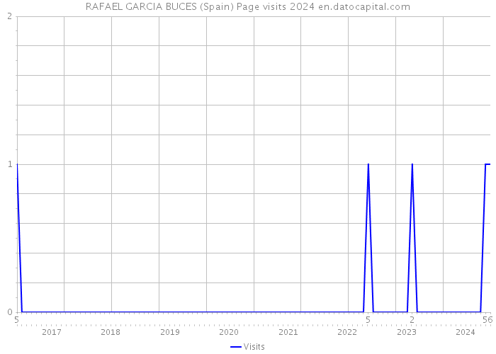 RAFAEL GARCIA BUCES (Spain) Page visits 2024 