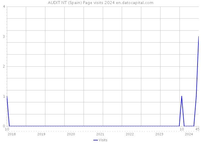 AUDIT NT (Spain) Page visits 2024 