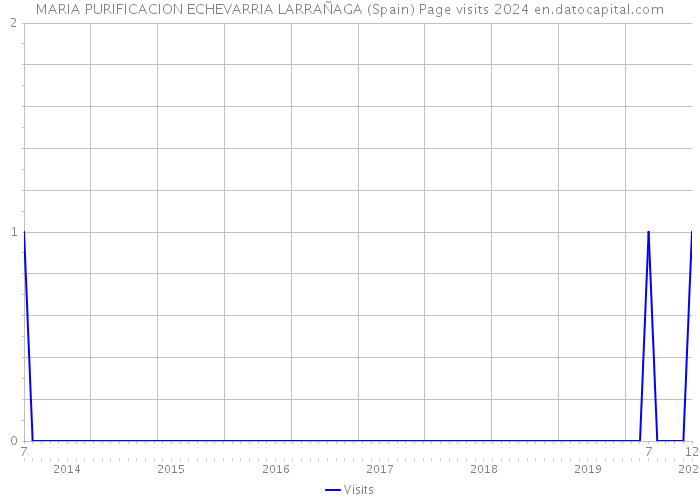 MARIA PURIFICACION ECHEVARRIA LARRAÑAGA (Spain) Page visits 2024 