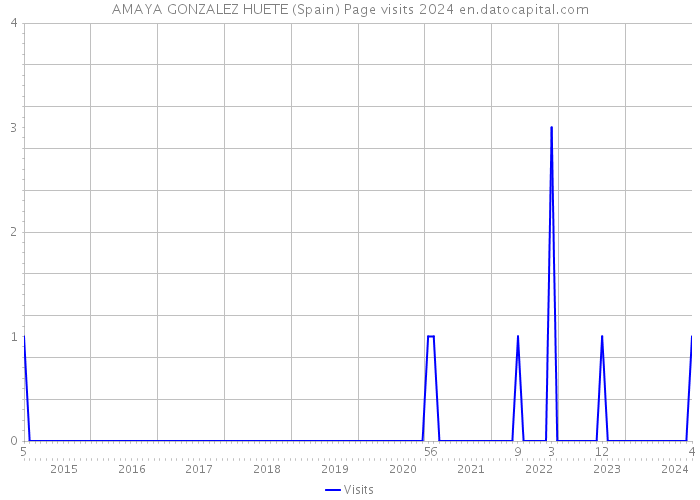 AMAYA GONZALEZ HUETE (Spain) Page visits 2024 