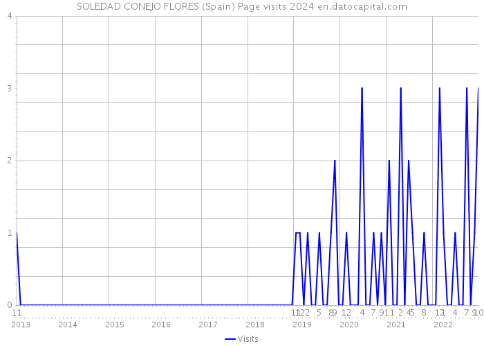 SOLEDAD CONEJO FLORES (Spain) Page visits 2024 