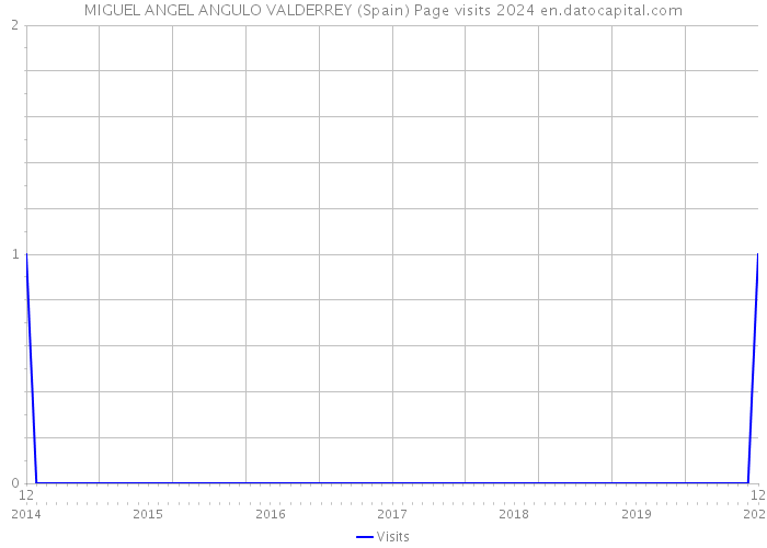 MIGUEL ANGEL ANGULO VALDERREY (Spain) Page visits 2024 