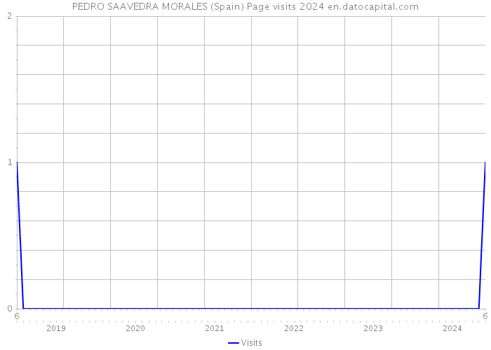 PEDRO SAAVEDRA MORALES (Spain) Page visits 2024 