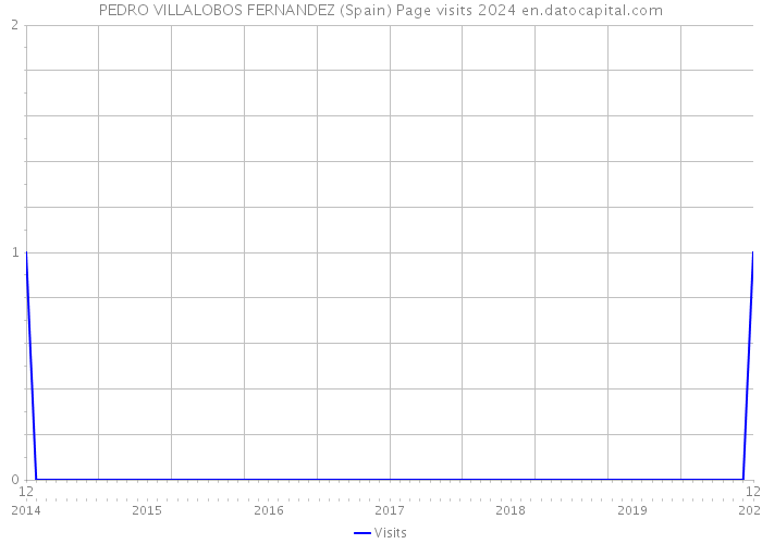 PEDRO VILLALOBOS FERNANDEZ (Spain) Page visits 2024 