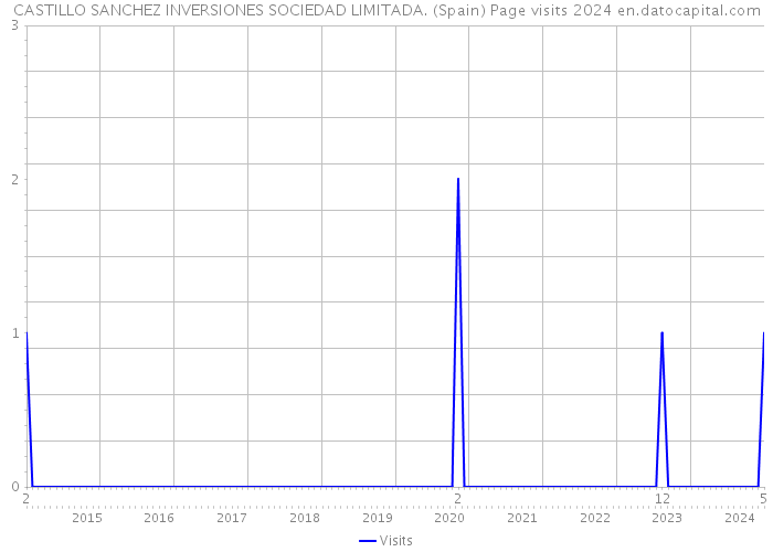 CASTILLO SANCHEZ INVERSIONES SOCIEDAD LIMITADA. (Spain) Page visits 2024 