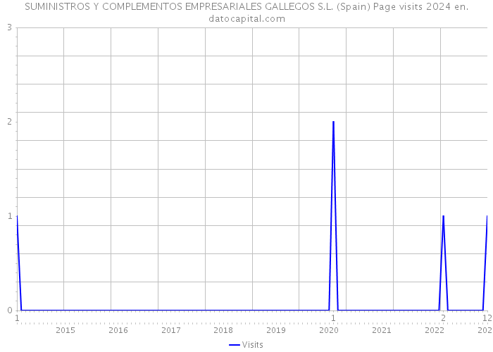 SUMINISTROS Y COMPLEMENTOS EMPRESARIALES GALLEGOS S.L. (Spain) Page visits 2024 