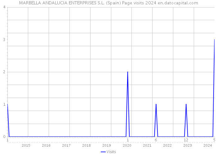 MARBELLA ANDALUCIA ENTERPRISES S.L. (Spain) Page visits 2024 