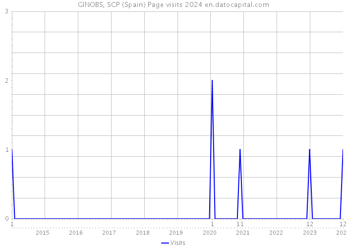 GINOBS, SCP (Spain) Page visits 2024 
