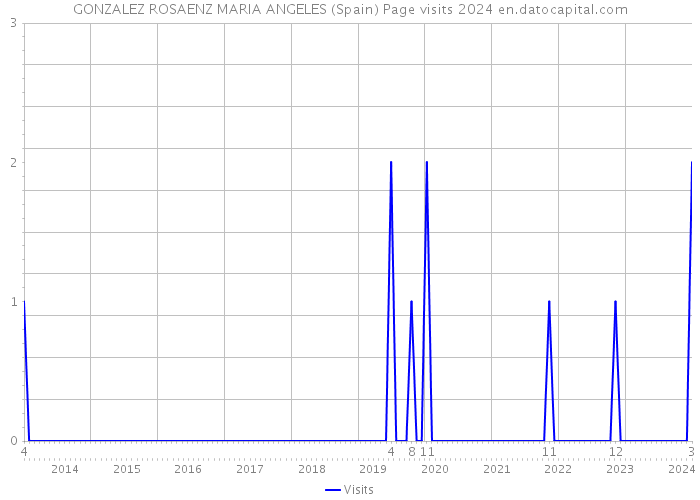 GONZALEZ ROSAENZ MARIA ANGELES (Spain) Page visits 2024 