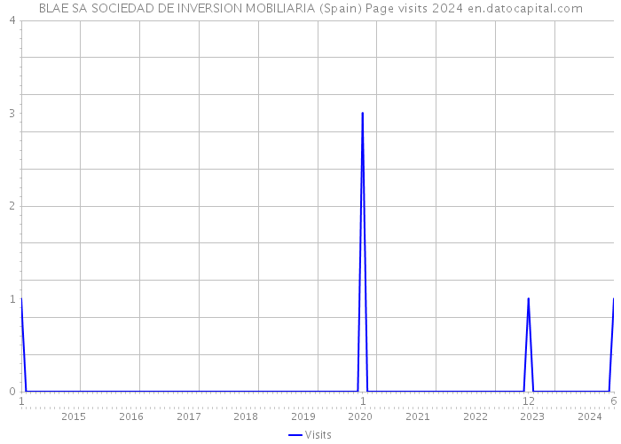 BLAE SA SOCIEDAD DE INVERSION MOBILIARIA (Spain) Page visits 2024 