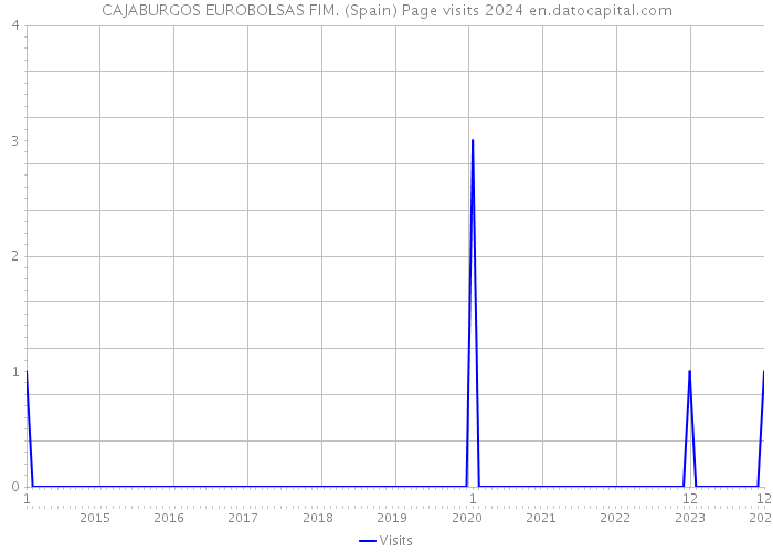 CAJABURGOS EUROBOLSAS FIM. (Spain) Page visits 2024 