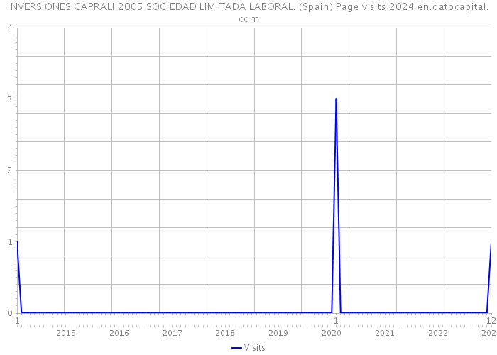 INVERSIONES CAPRALI 2005 SOCIEDAD LIMITADA LABORAL. (Spain) Page visits 2024 