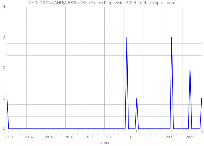 CARLOS SANAHUJA ESPINOSA (Spain) Page visits 2024 