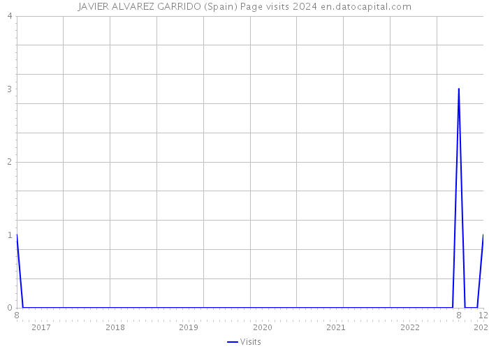 JAVIER ALVAREZ GARRIDO (Spain) Page visits 2024 