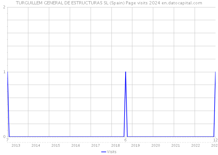 TURGUILLEM GENERAL DE ESTRUCTURAS SL (Spain) Page visits 2024 