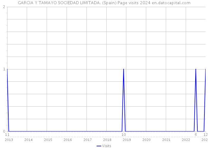 GARCIA Y TAMAYO SOCIEDAD LIMITADA. (Spain) Page visits 2024 