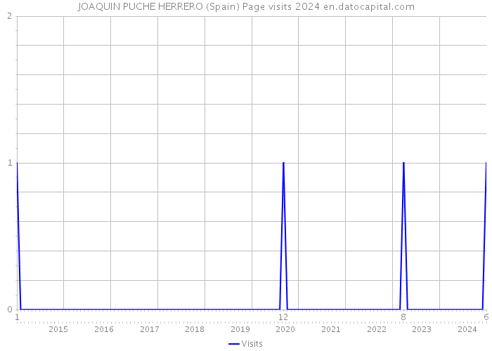 JOAQUIN PUCHE HERRERO (Spain) Page visits 2024 