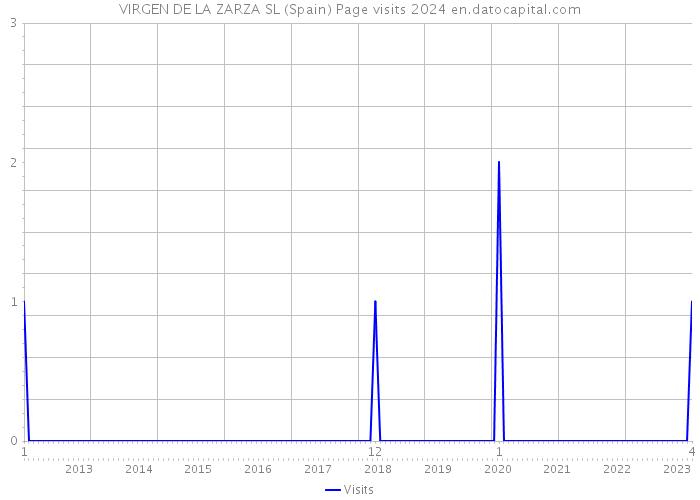 VIRGEN DE LA ZARZA SL (Spain) Page visits 2024 