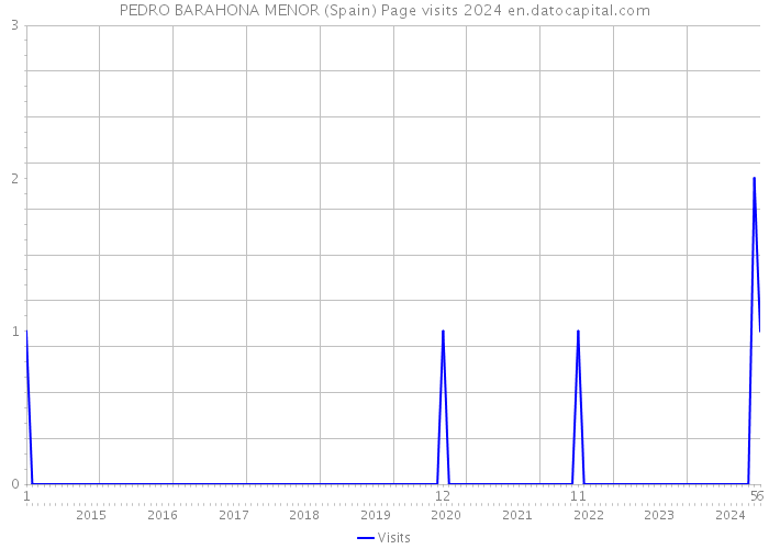 PEDRO BARAHONA MENOR (Spain) Page visits 2024 