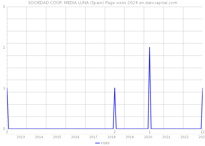 SOCIEDAD COOP. MEDIA LUNA (Spain) Page visits 2024 