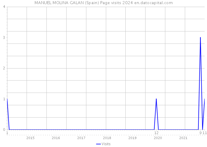 MANUEL MOLINA GALAN (Spain) Page visits 2024 