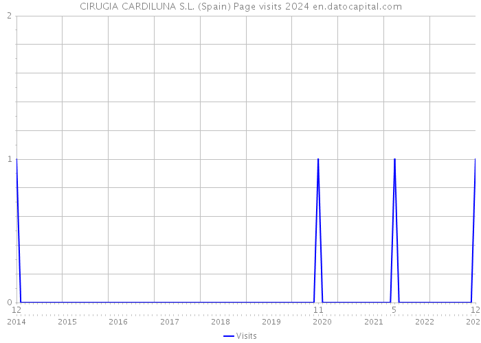 CIRUGIA CARDILUNA S.L. (Spain) Page visits 2024 