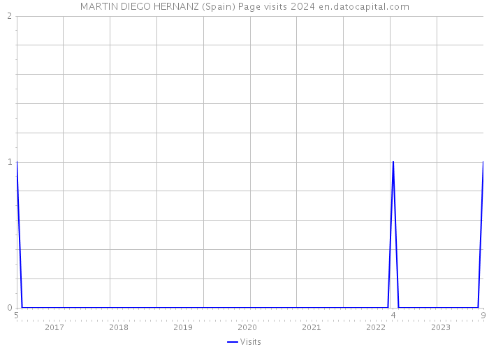 MARTIN DIEGO HERNANZ (Spain) Page visits 2024 
