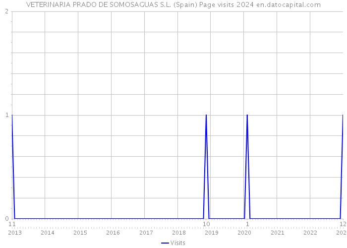 VETERINARIA PRADO DE SOMOSAGUAS S.L. (Spain) Page visits 2024 