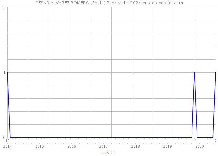 CESAR ALVAREZ ROMERO (Spain) Page visits 2024 